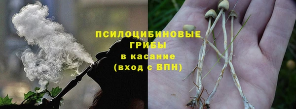 бошки Каменка